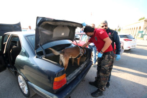 Konya'da Narko-Sokak 3 Uygulaması