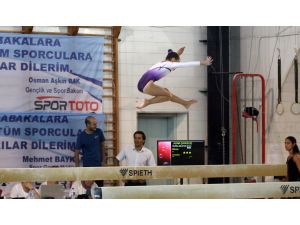 Artistik Cimnastik Federasyon Kupası