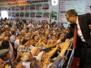 Konuk, yeniden Pankobirlik Genel Başkanı