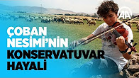 Tatillerde çobanlık yapan Nesimi'nin konservatuvar hayali VİDEO HABER