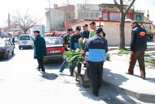 Sahte lale soğanı satıcılarına göz açtırılmıyor