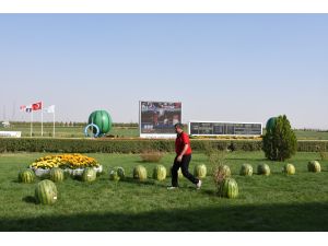 "7. Diyarbakır Kültür ve Karpuz Tanıtım Etkinlikleri"