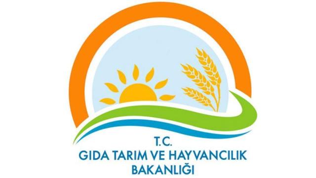 'Domates ihracatıyla et ithalatı konuları ilişkilendirilemez'
