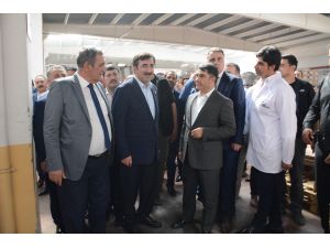 AK Parti Genel Başkan Yardımcısı Yılmaz: