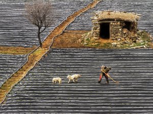 Konyalı fotoğrafçıya, uluslararası fotoğraf yarışmasında birincilik ödülü