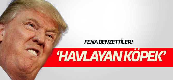 Kuzey Kore'den Trump'a "havlayan köpek" benzetmesi