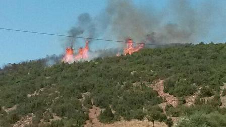 Isparta'da orman yangını