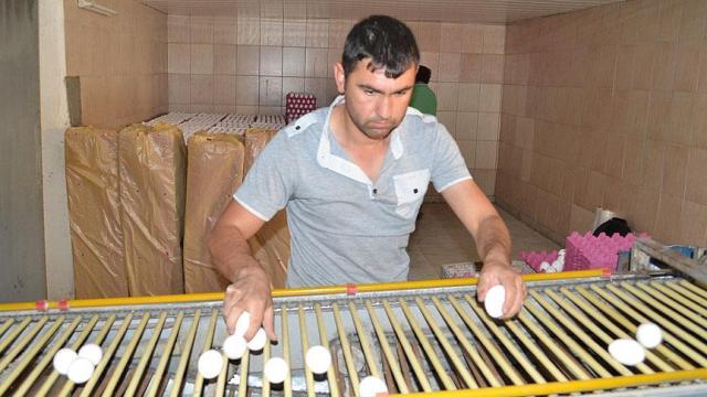 Köyde kurduğu modern tesiste yumurta üretiyorKöyde kurduğu modern tesiste yumurta üretiyor
