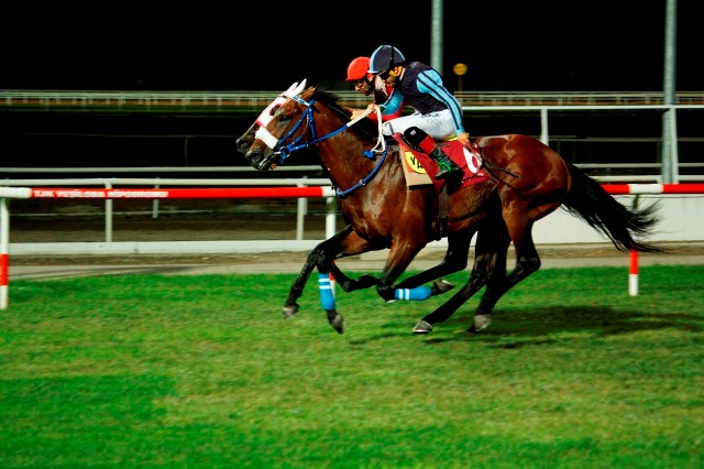 3. Ereğli Belediyesi koşusu Adana'da düzenlendi