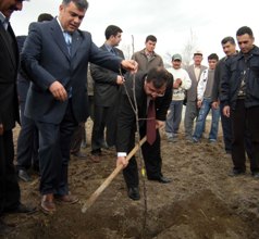 Selvili'de fidan dikimi gerçekleştirildi