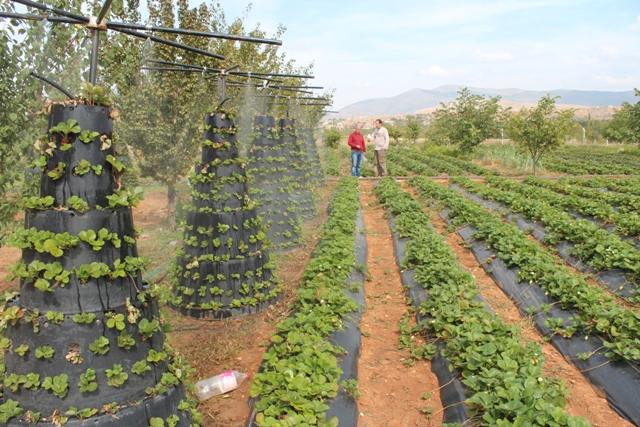 Derebucak çiftçisi için sulu tarım umut oldu
