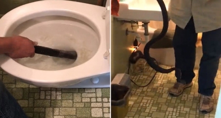 Dev yılan klozetten böyle çıkarıldı