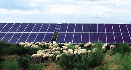 Kubuqi Modeli ile çölde yaşayan ailelerin hayatı değişti