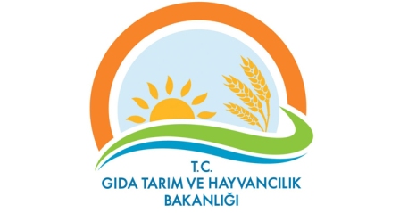 Bakanlıktan 'Suriyelileri göndermeyeceğiz' ifadesine ilişkin açıklama