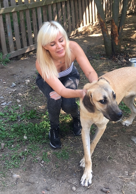 'Kuyu' köpek şimdi çok mutlu