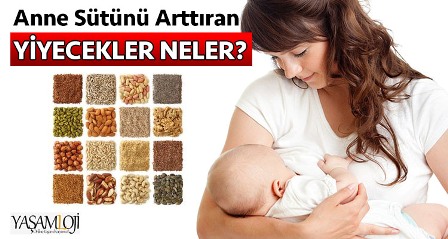 Bu besinler anne sütünü artırıyor