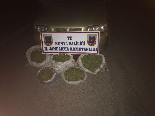 Akşehir’de esrar operasyonu