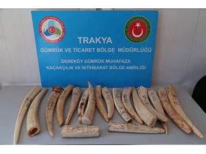Sınır kapısında fildişi ele geçirildi