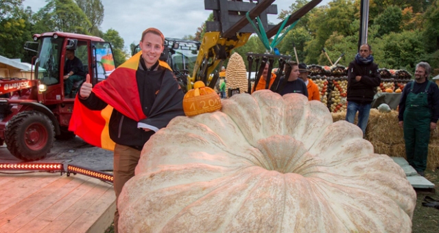 Avrupa'nın en ağır kabağı 1008 kilo