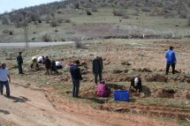 Dosteli toprağa el verdi