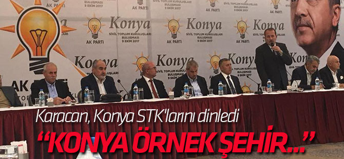 Karacan, Konya STK'larını dinledi