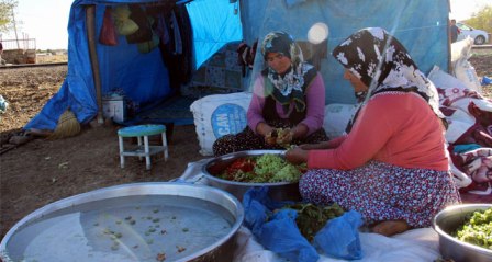 Ekmek paraları için evleri sırtlarında geziyorlar