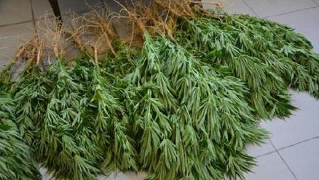 Konya'da uyuşturucu operasyonu