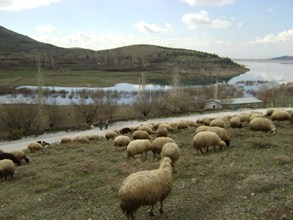 İvriz'den su alınmaya başlandı