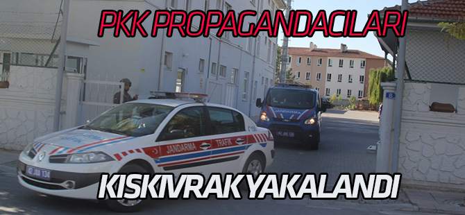 PKK propagandacıları yakalandı