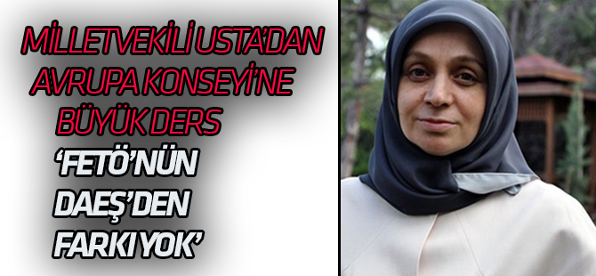 Avrupa Konseyine FETÖ çağrısı