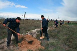 Belkaya Beldesinde ağaçlandırma çalışmaları