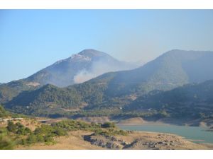GÜNCELLEME - Adana'da orman yangını