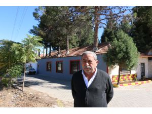 Ağaçları binanın içinde bıraktı