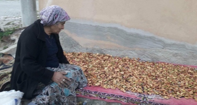 Elma kurusu şifa kaynağı