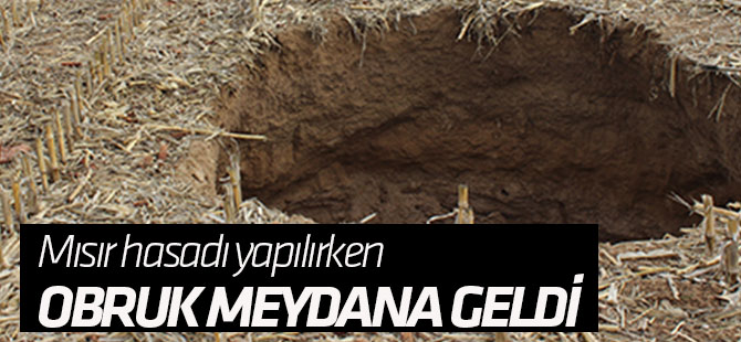 Mısır hasadı yapılırken obruk oluştu