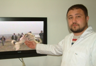 Yetkililer harekete geçmeli