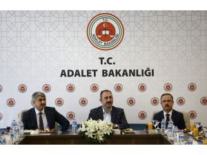 Adalet Bakanı Gül: (2)