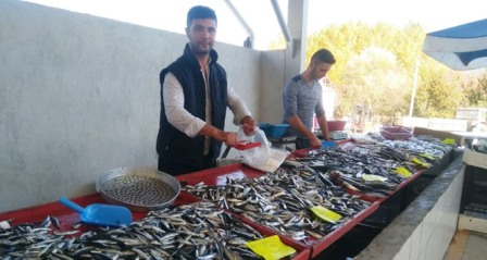 Balık bollaştı, fiyatlar düştü