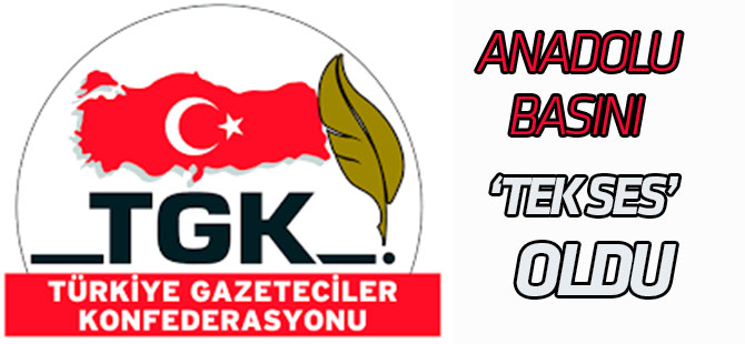 ANADOLU BASINI TEK SES