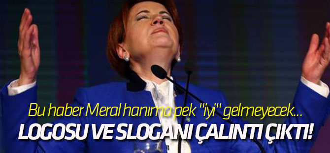 Akşener'in yeni partisinin logosu ve sloganı çalıntı çıktı!