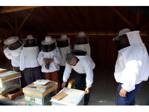 Balın kalitesi, eğitimli arıcılarla artacak