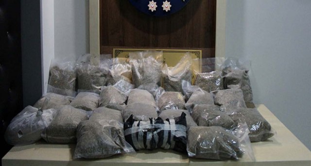 İzmir'de 13 kilo bonzai ele geçirildi