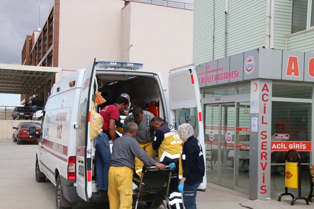 Seydişehir'de ağaçtan düşen işçi yaralandı