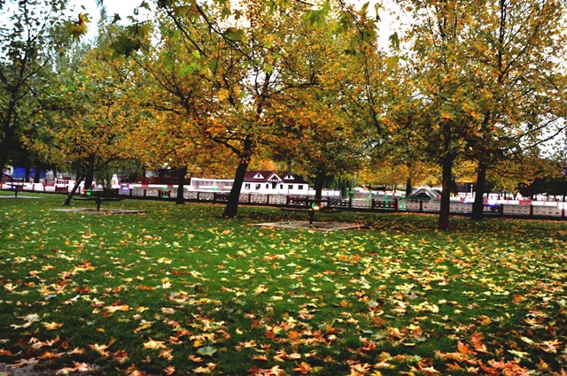 Seydişehir Kuğulu Park’ta kartpostallık görüntüler