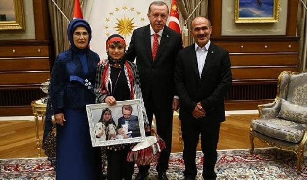 Hamdu Sena, Cumhurbaşkanı Erdoğan'dan keçileri için yol istedi!