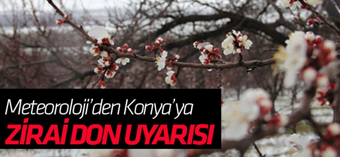 Konya'ya Meteorolojiden "Zirai Don" Uyarısı