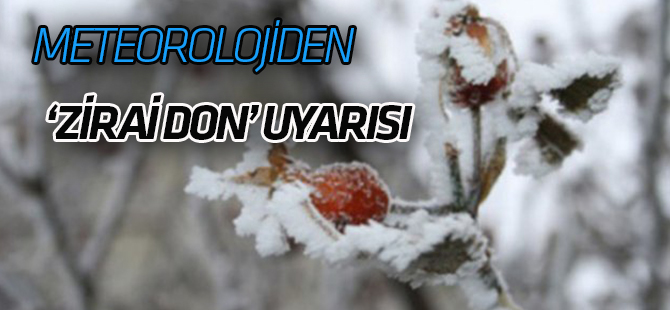 Meteorolojiden "zirai don" uyarısı