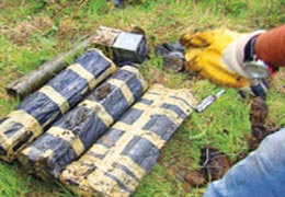 KÖR GÖZE CEPHANELİK