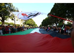 Balfour Deklarasyonu'na tepkiler