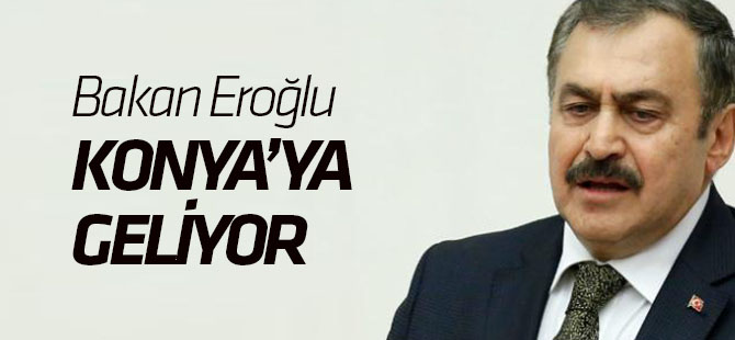 Bakan Eroğlu Konya'ya geliyor